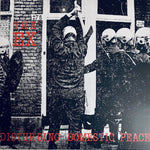 THE EX - Disturbing Domestic Peace LP + 7"