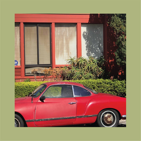 THE REDS, PINKS AND PURPLES - The Town That Cursed Your Name LP