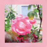 THE REDS, PINKS & PURPLES - Summer At Land's End LP