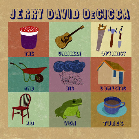 JERRY DAVID DECICCA - The Unlikely Optimist & His Domestic Adventures LP