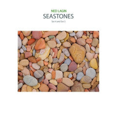 NED LAGIN - Seastones - Set 4 and Set 5 LP (Blue Translucent Vinyl)