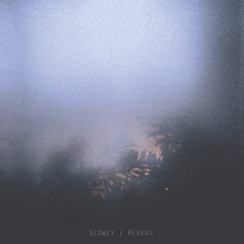 SLOWLY - reveal LP