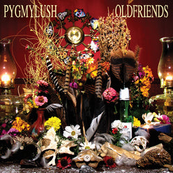 PYGMY LUSH - old friends LP (us press)
