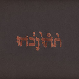 GODSPEED YOU BLACK EMPEROR - slow riot for new zero kanada 12"