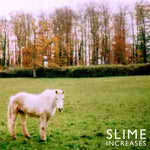 SLIME - Increases 12"