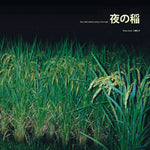 REIKO KUDO -  Rice Field Silently Riping In The Night LP